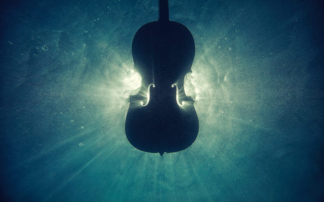 Le violon bleu